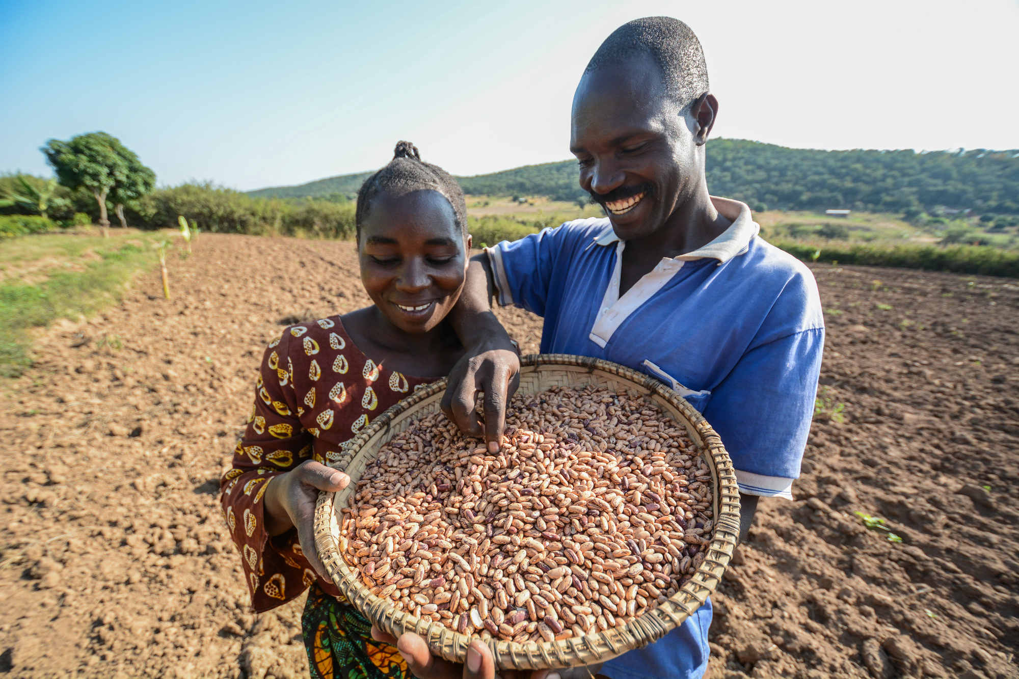 Semences et agriculture familiale