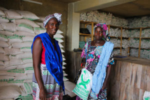 Agricultrices beneficiaires de la distribution de semences du programme WAAPP / Small holder female farmers benefit from a WAAPP seeds distribution