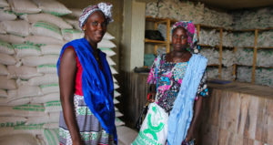 Agricultrices beneficiaires de la distribution de semences du programme WAAPP / Small holder female farmers benefit from a WAAPP seeds distribution