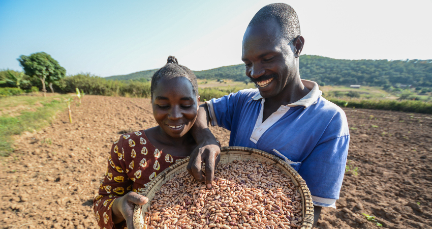 Famille de producteurs de haricots