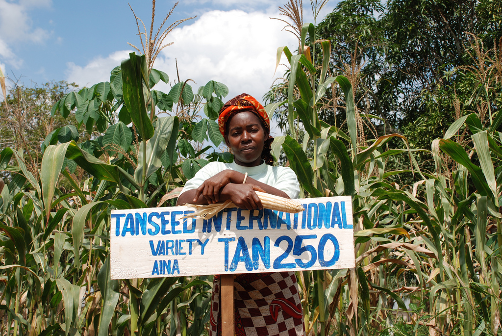 ©CIMMYT ©World Bank