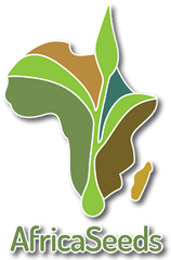 AfricaSeeds