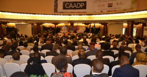 15th CAADP Partnership Platform Meeting