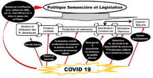 Impact du COVID-19