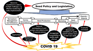 COVID-19 and the seed sector