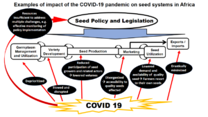 Impact COVID-19
