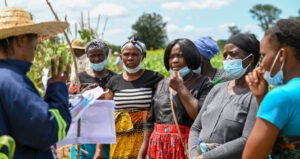 ©Global Crop Diversity Trust