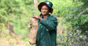©Global Crop Diversity Trust
